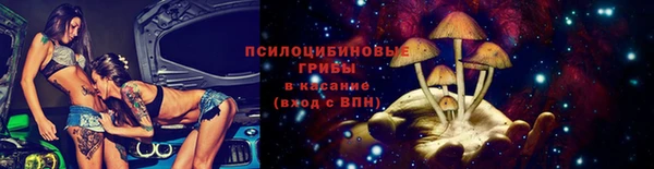 эйфоретик Алексин