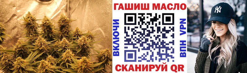 ТГК THC oil  как найти закладки  Дмитров 